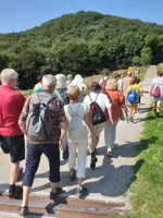 2019 Passeggiata Estiva 2